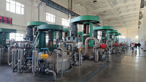 高質量發展調研行丨生物科技讓農副產品煥發新價值